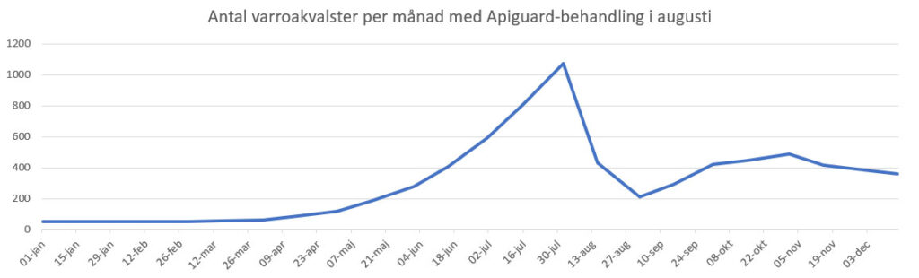 Varrokvalstrets utveckling under året vid behandling med Apiguard